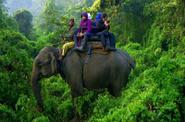 Nepal Safari