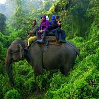 Nepal Safari